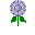 Moonflowerplant.png